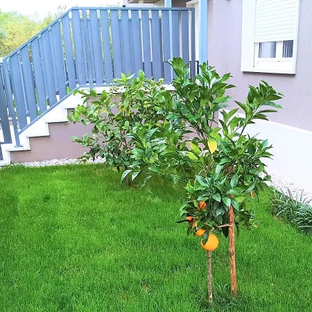 Lemon3 Deluxe Apartamento